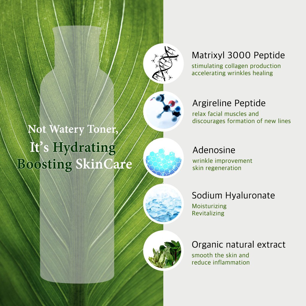 argireline peptide complex