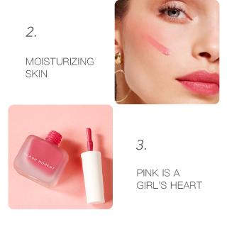 Peach Liquid  Blush  Makeup Palette Matte Rouge Pigment 