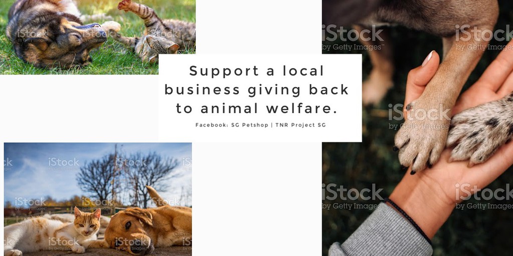 SG Online Shop Shopee Singapore