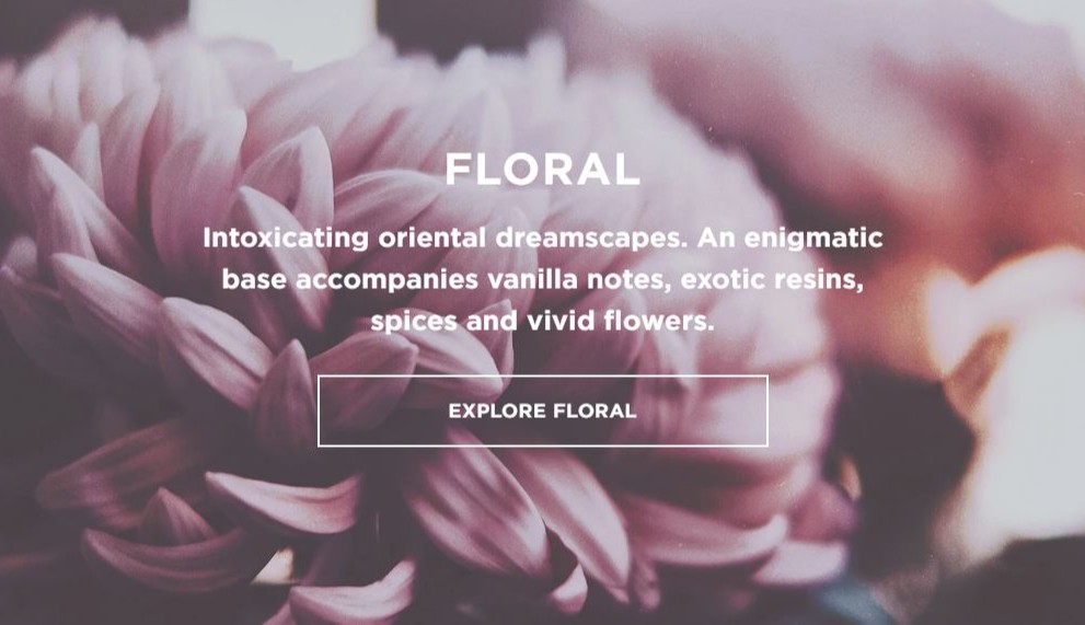 Ecoya Official Store, Online Shop Aug 2022 Shopee Singapore