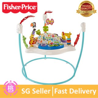 fisher price color climbers jumperoo
