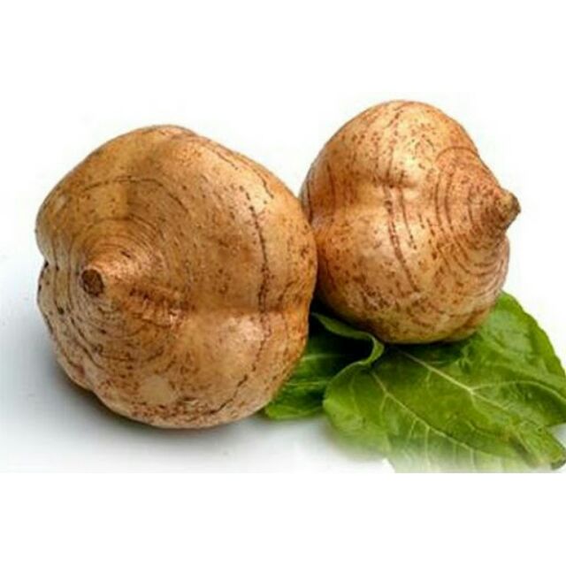 Turnip Buah Sengkuang 沙葛 1kg Shopee Singapore