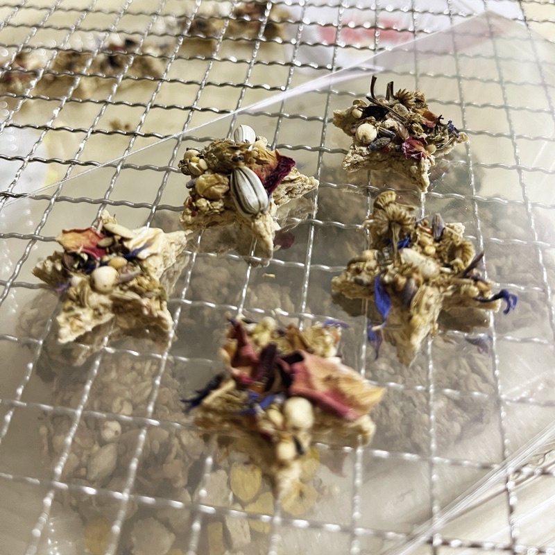 Knottypawss starry nights (Ham) Shopee Singapore