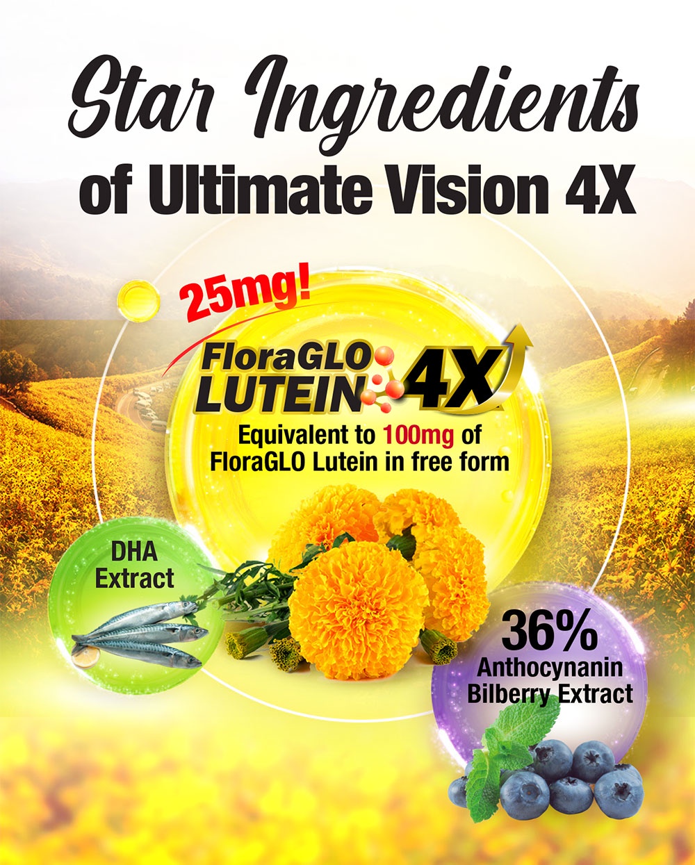 [3 Boxes] AFC Ultimate Vision 4X FloraGLO Lutein 4X Eye Supplement for