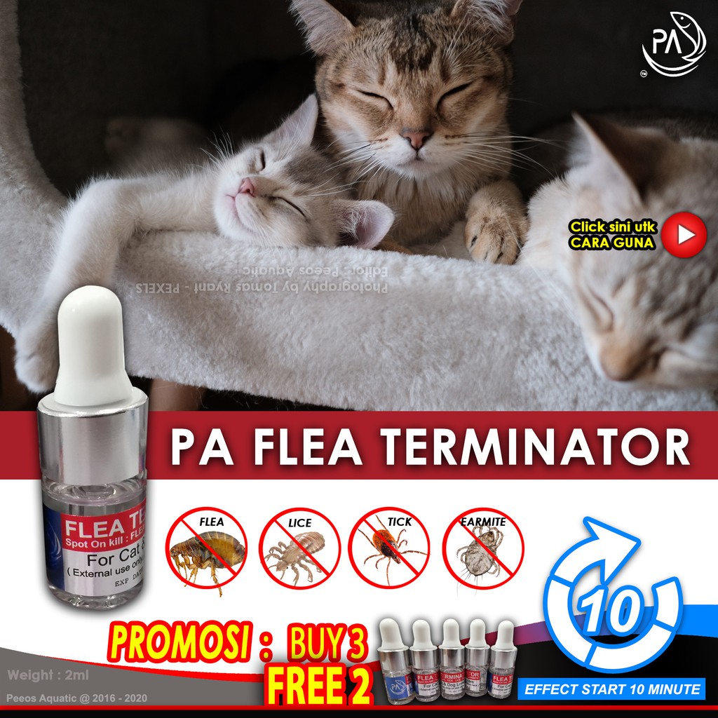 PA Flea Terminator ( Ready Stok ) spot on kill flea tick 