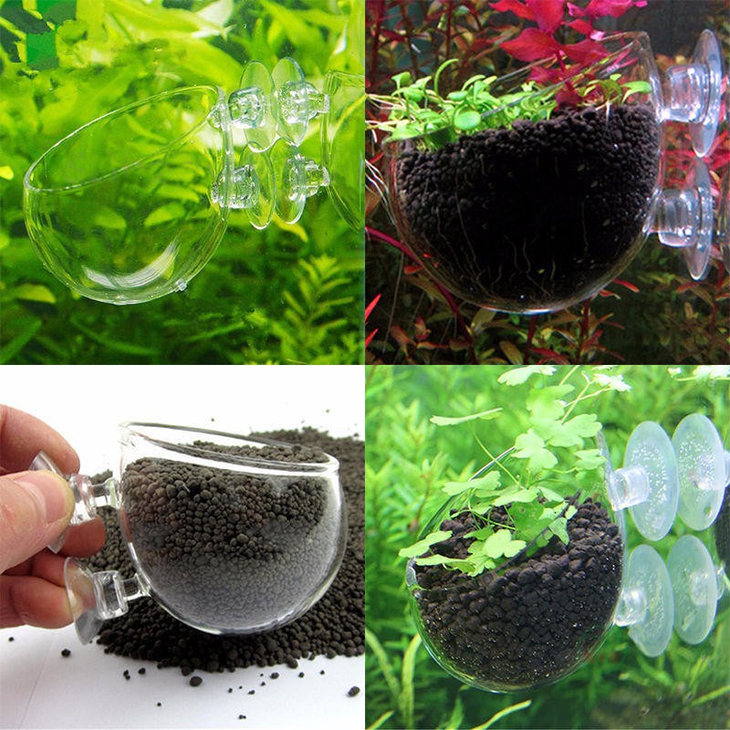 Glass plant pots aquarium fish tank aquatic Shopee Singapore