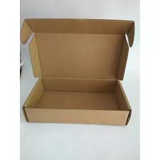 EXTRA Packaging Box Packing Thick Cardboard Carton Safe Delivery