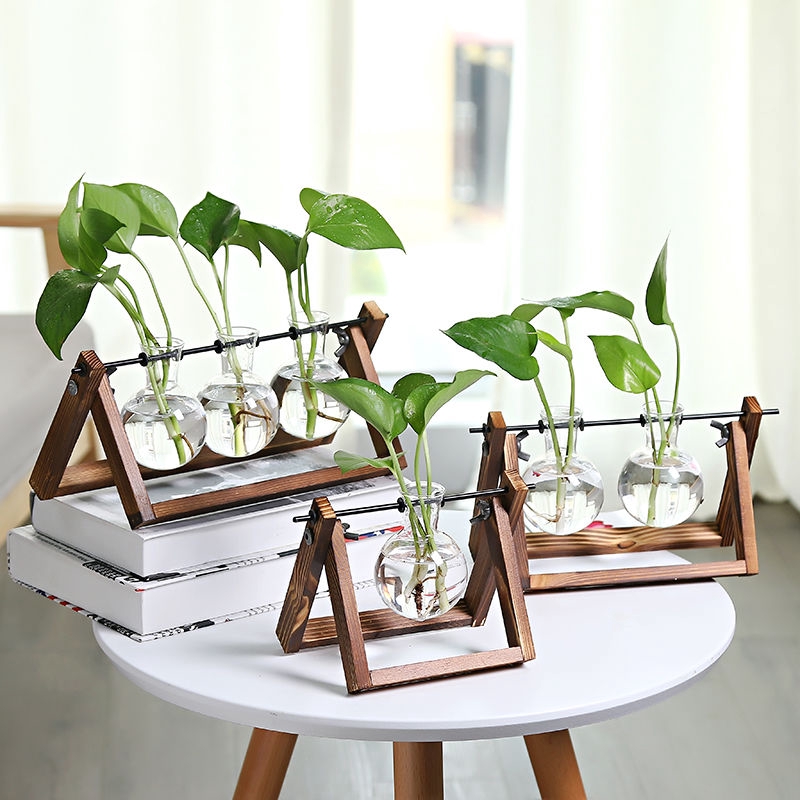 Wooden Frame Glass Vase Planter Desktop Hydroponics Plant