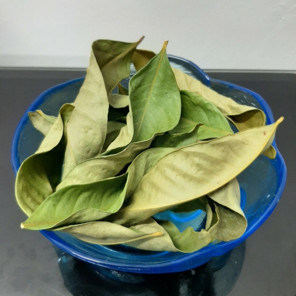 Indonesian Salam Leaves (Indonesian Bay Leaf) Shopee Singapore