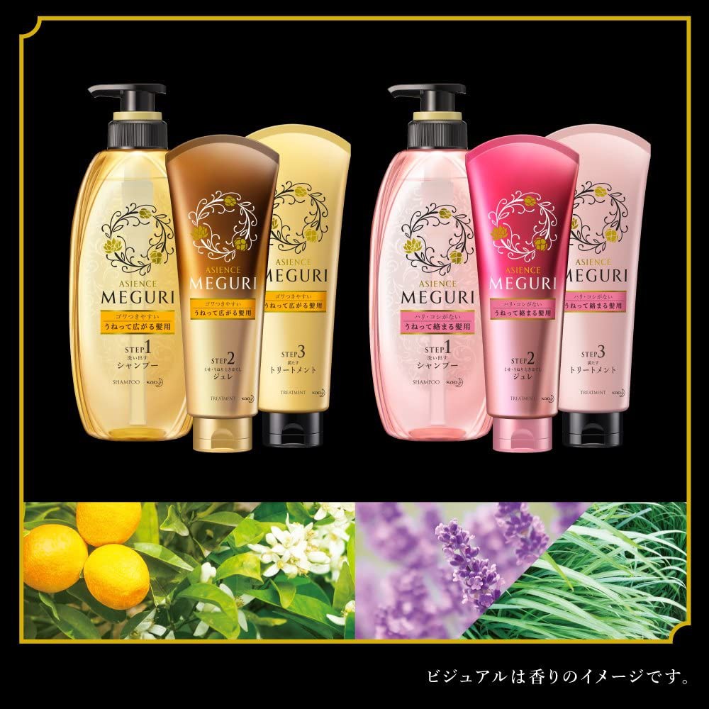 Kao Asience Meguri 3 Step Care Set 870ml Japan Import Shopee Singapore