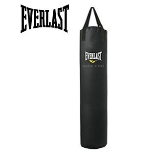 everlast upright punching bag