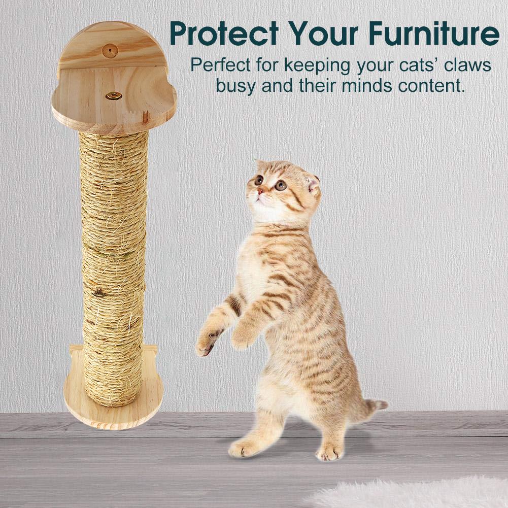 cat scratcher shopee