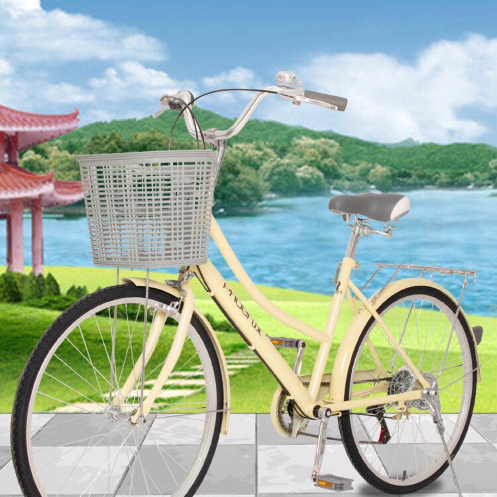 24 inch bike with basket