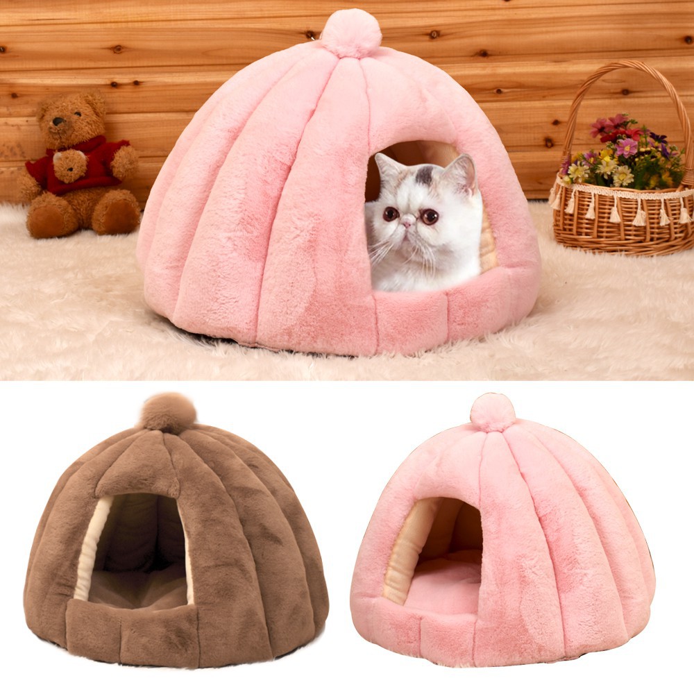 Collection 104+ Pictures How To Get Cat Out From Under Bed Completed