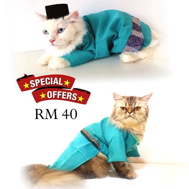 Baju Raya Kucing Code Turquoise Green Baju Kurung Shopee Singapore