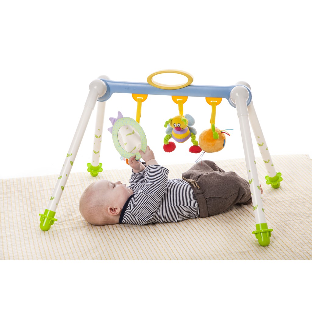 taf toys play gym