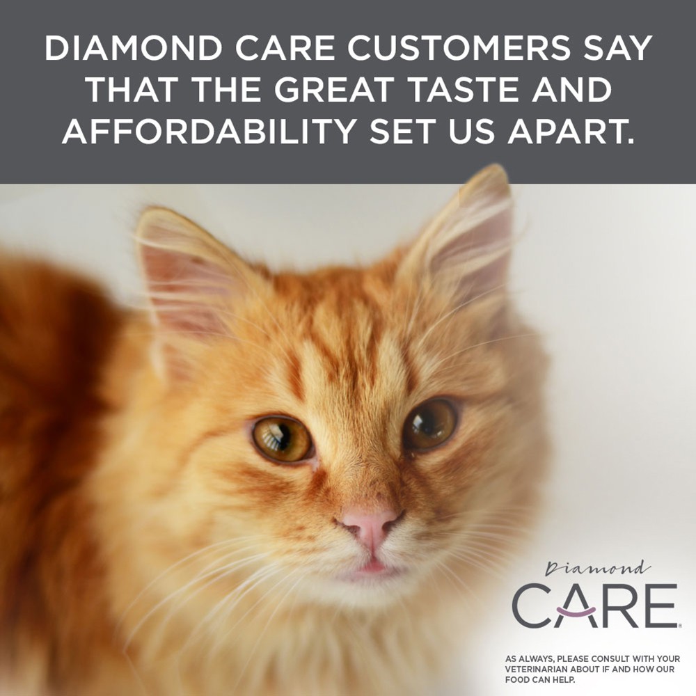 diamond care cat food