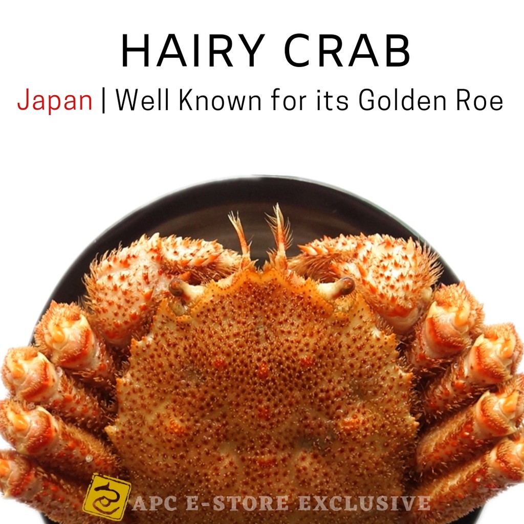 Japan Hokkaido Hairy Crab Best From Japan Market Free Delivery Shopee Singapore