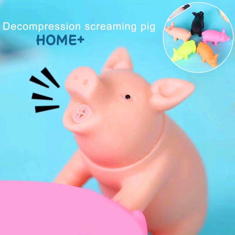 pig toy