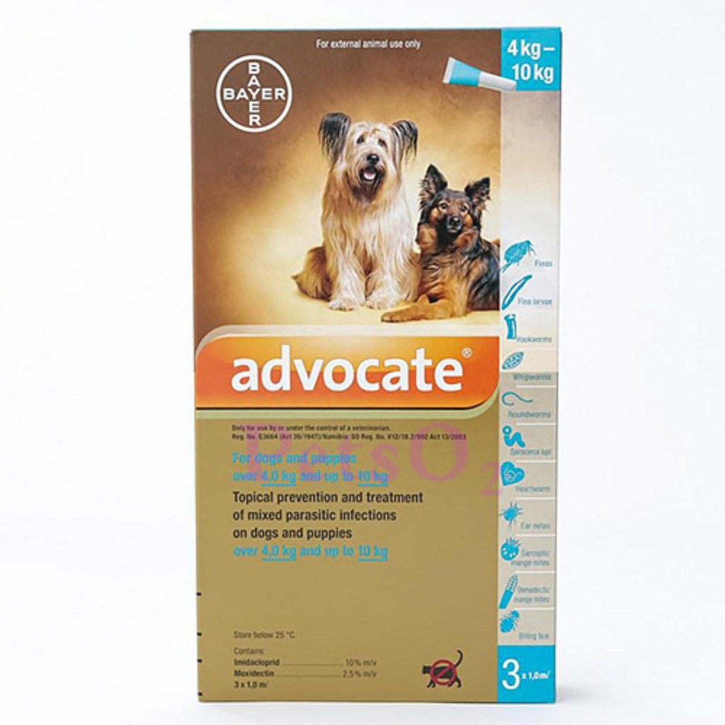 advocate heartworm