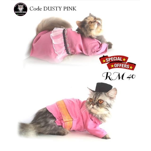 Baju Raya Kucing Code Dusty Pink Baju Kurung Shopee Singapore