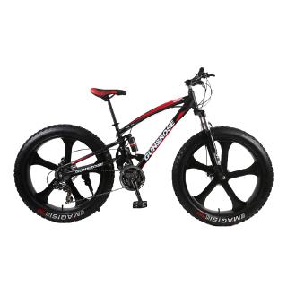 fat tire mountain bike