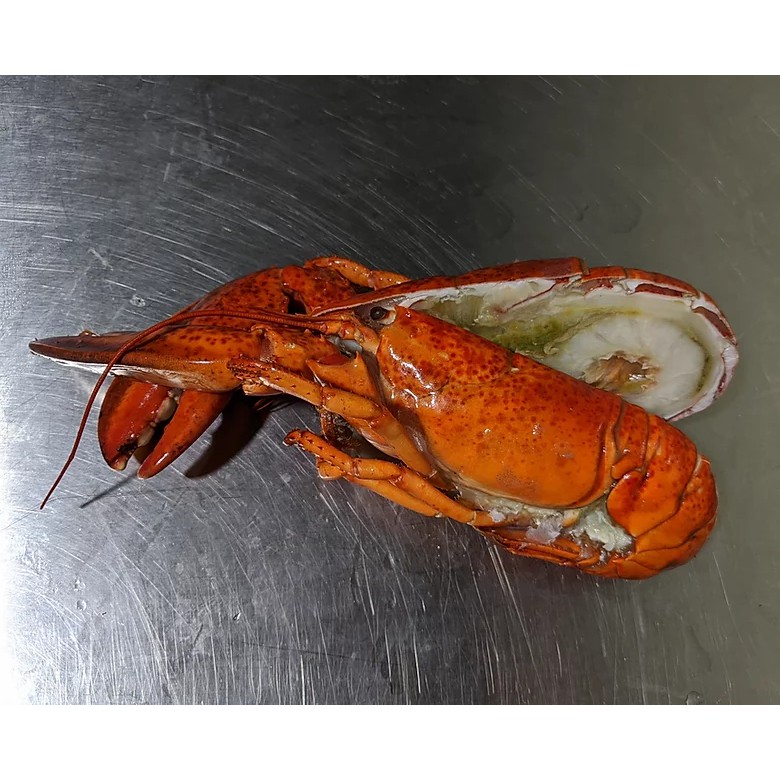 Cooked Boston Lobster Cut Half 4pc/pkt Shopee Singapore