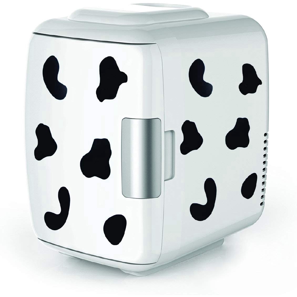 Mini Fridge Electric Cooler And Portable Heated System Beauty Refrigerator Shopee Singapore