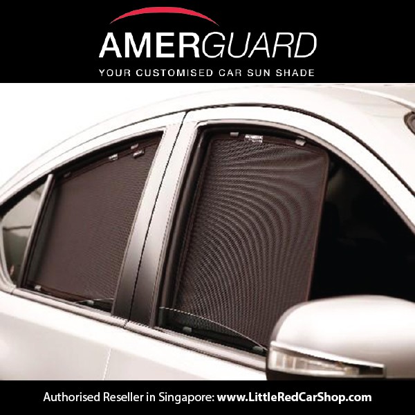 custom car window covers