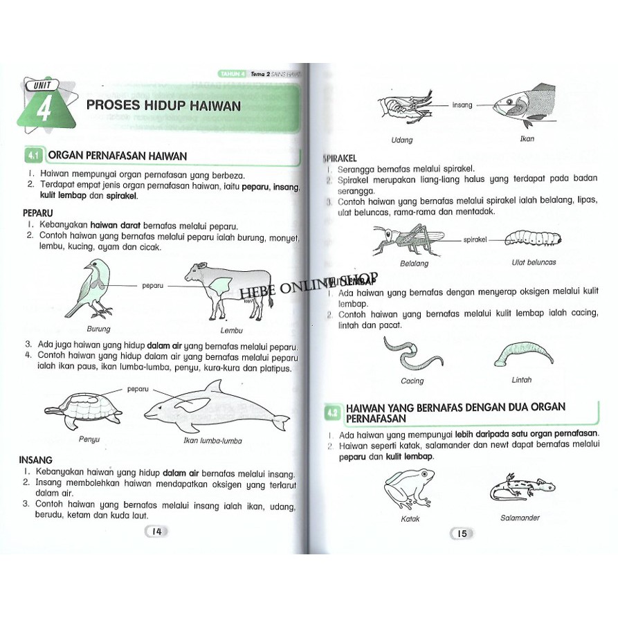 4 5 6 Sasbadi Xpress Super Upsr 2020 Receiving Book Shopee Singapore