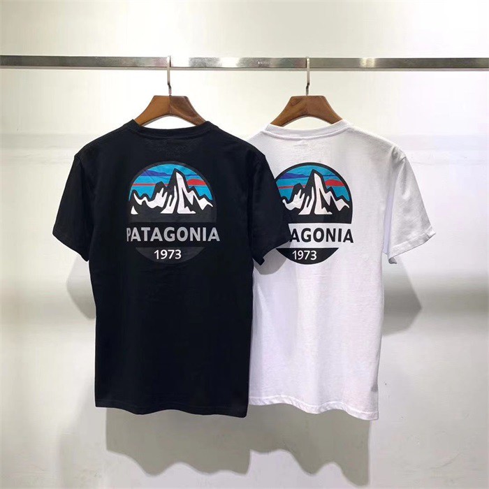 patagonia fitz roy tshirt