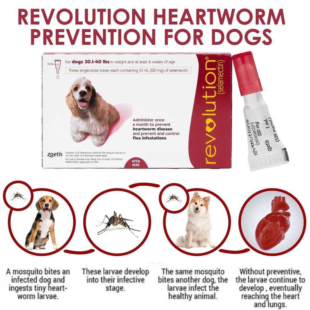does heartworm cause itching