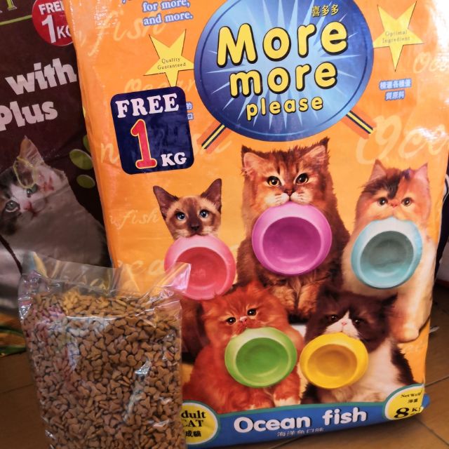 more more please cat food