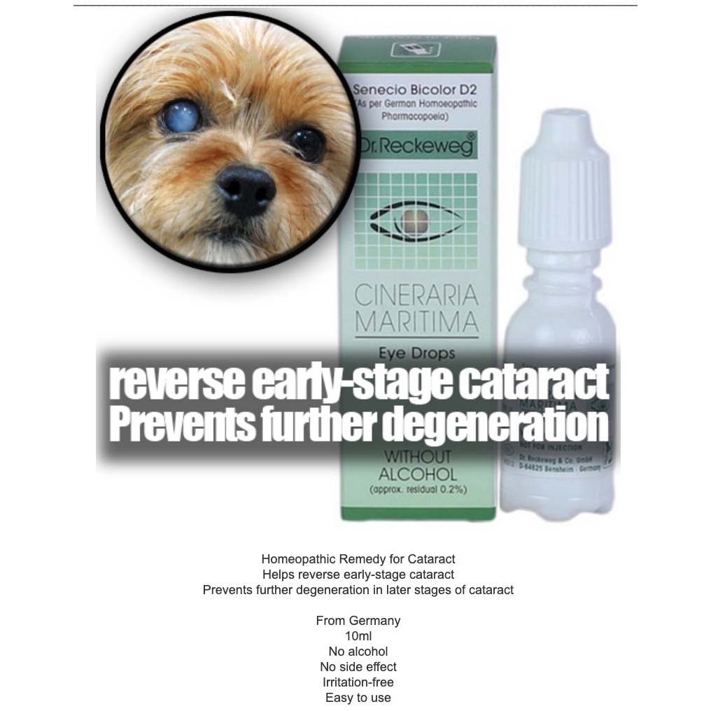 Bundle Of 3 Sunrise Natural Dr Cineraria Maritama Eye Drops For Cataract In Dogs Shopee Singapore