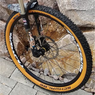 schwalbe tan wall 27.5