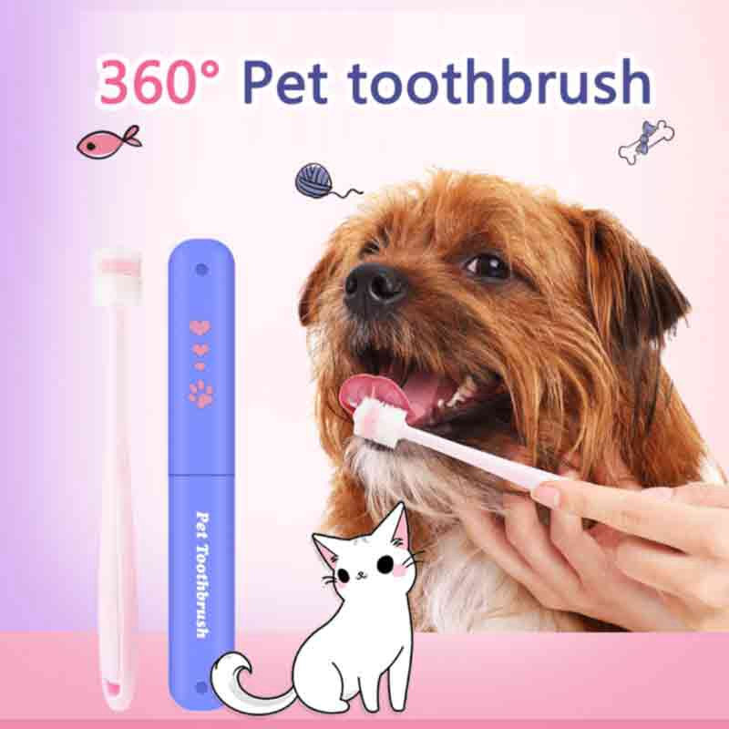 soft dog toothbrush