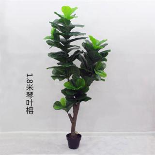 Ready Stock Artificial Fiddle Fig Tree Ficus Lyrata Pokok Hiasan Viral 人造植物 榕琴叶盆栽 Shopee Singapore