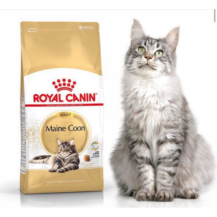 royal canin maine coon 10kg