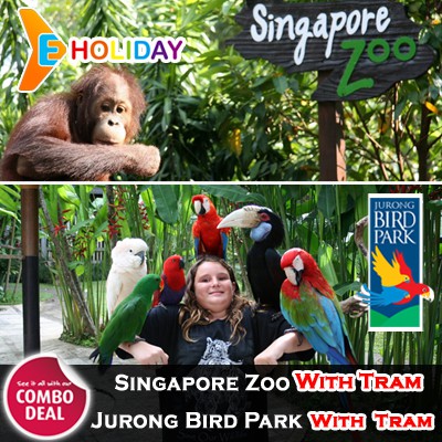 Singapore Zoo Jurong Bird Park Combo Ticket Shopee Singapore