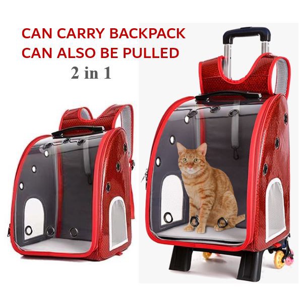 cat carrier rucksack