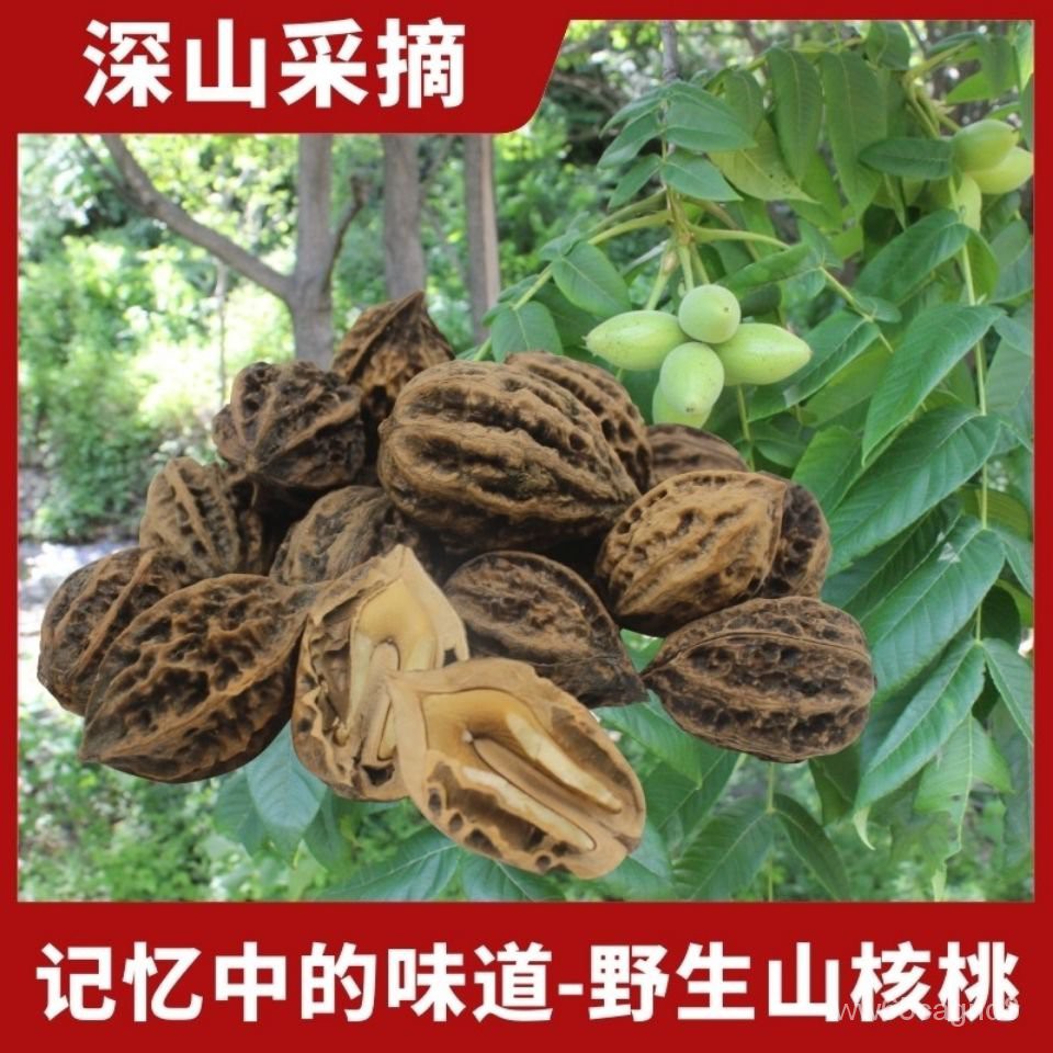 Snacks Nuts Roasted Seeds And Nuts 东北野生山核桃厚皮核桃野生核桃山核桃楸树核桃新货山核桃包邮 Shopee Singapore