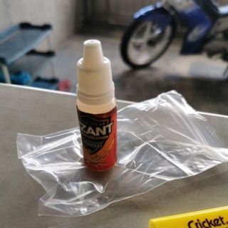 LIZANT PENGHAPUS CICAK Lizard Killer Easy Use Racun Cicak 