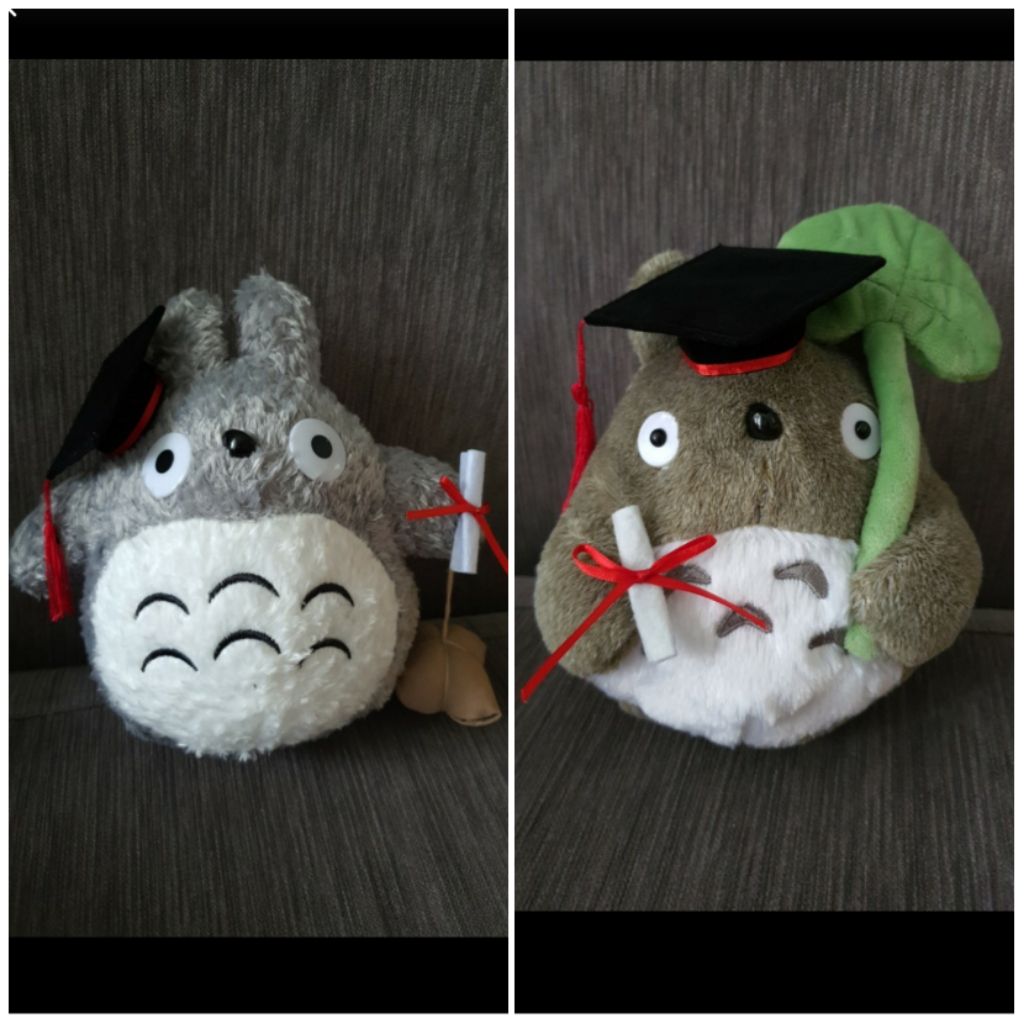 BN 25cm Spirited Away Totoro Graduation Bear Graduation Plush Grad Bear 