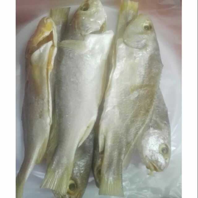 Gelama fish