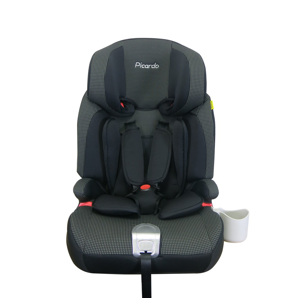 picardo car seat