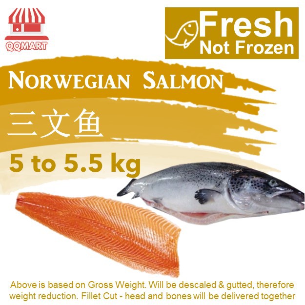 QQMart Fresh Seafood (Not Frozen) - Fresh Norwegian Salmon (三文鱼) - Direct from Fishery Port to your Doorstep