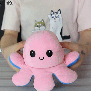 🔥ready stock🔥 20cm Flip Octopus doll TIKTOK TeeTurtle Reversible Bipolar Plushie Stuffed toys Best gifts for Kids