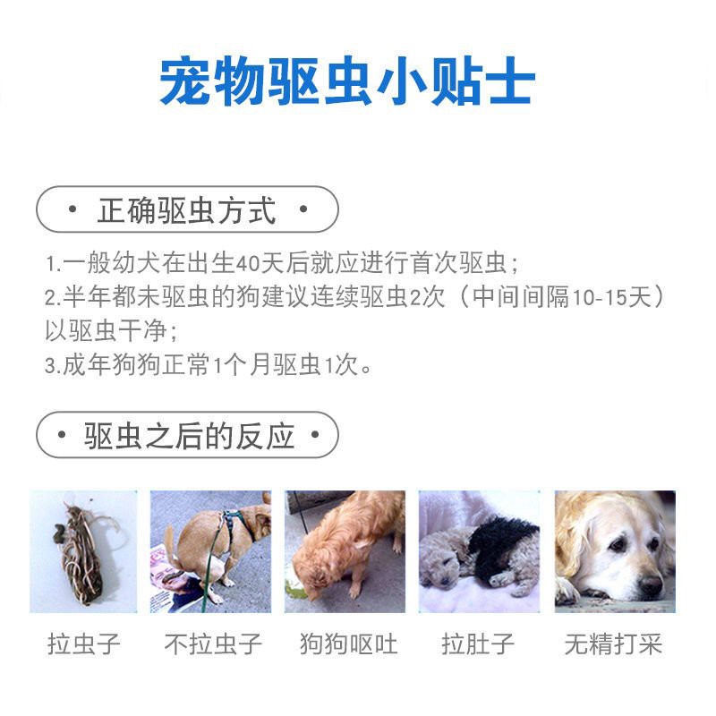 Pet Healthcare Medicine Dogs Cats 犬心保小中大型犬成幼犬打虫药宠物狗狗体内驱虫药心丝虫蛔虫钩虫 Shopee Singapore