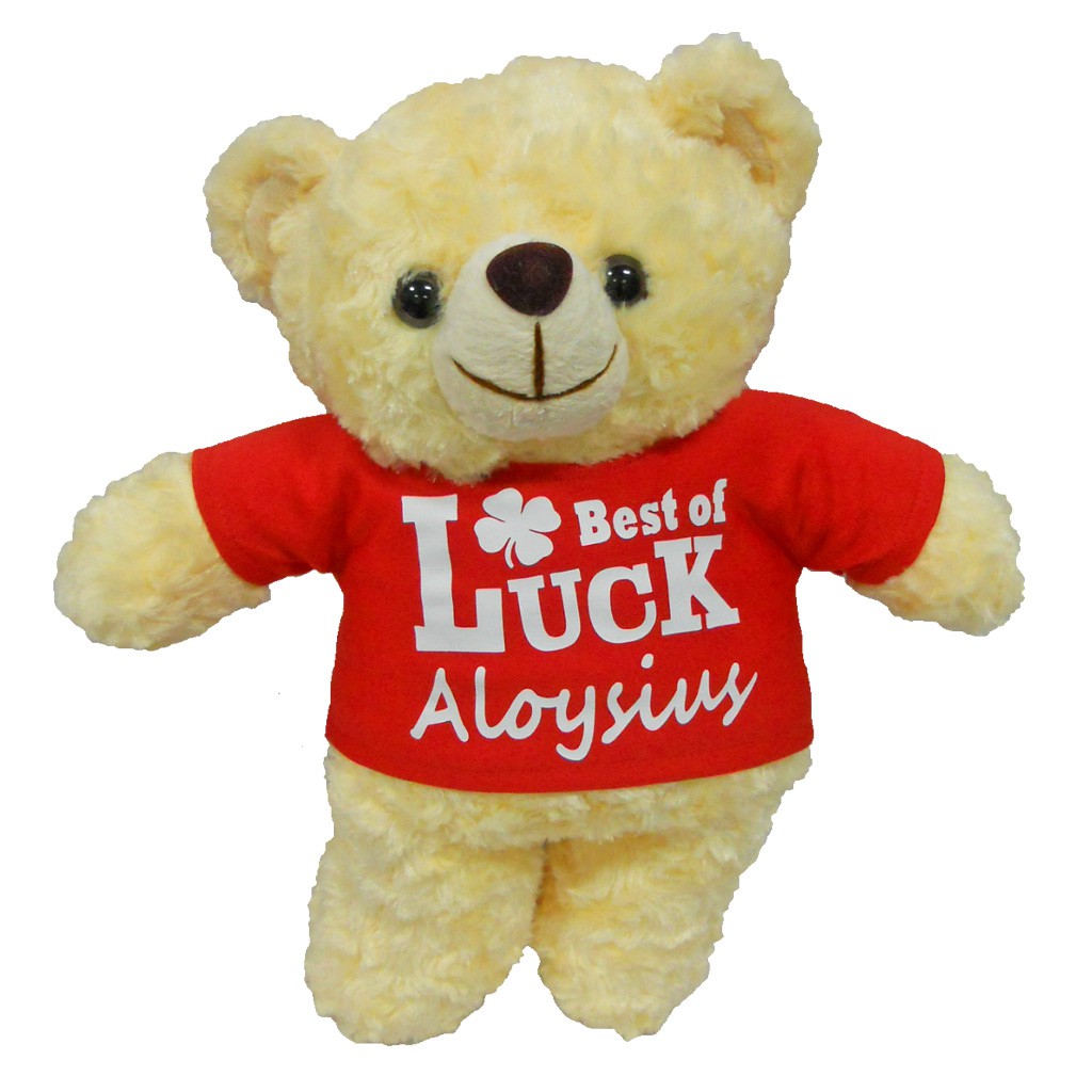 customized teddy bear