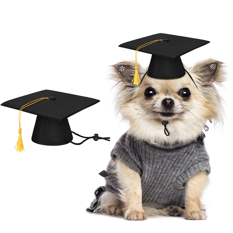 Camidy Graduation Dog Bandana Hat Set Dog Graduation Cap Cap With